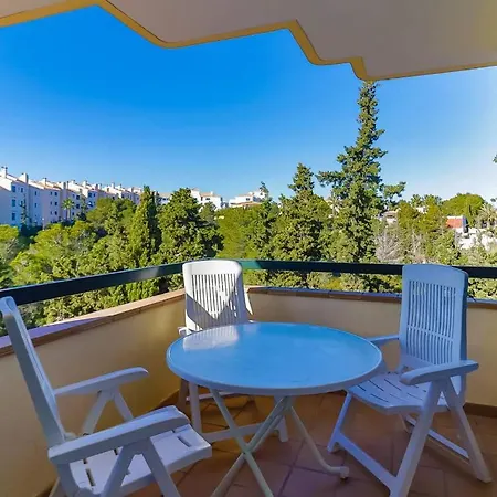 Naranjos Apartamento